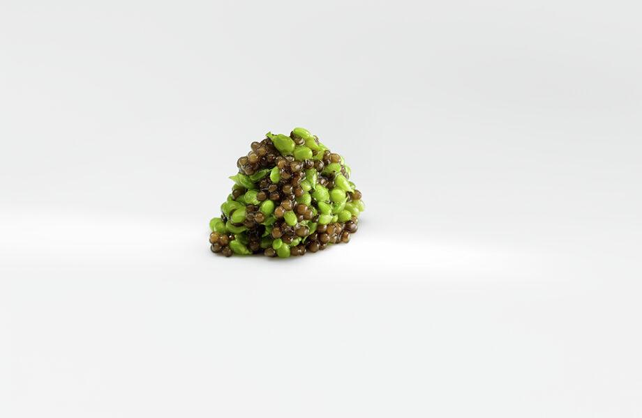 Mugaritz-SanSebastian-Spain-02