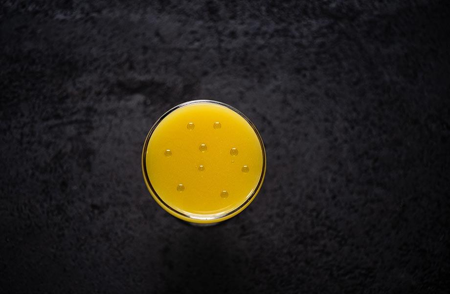 toca da raposa-lisbon-portugal-2 toca da raposa-lisbon-portugal-2