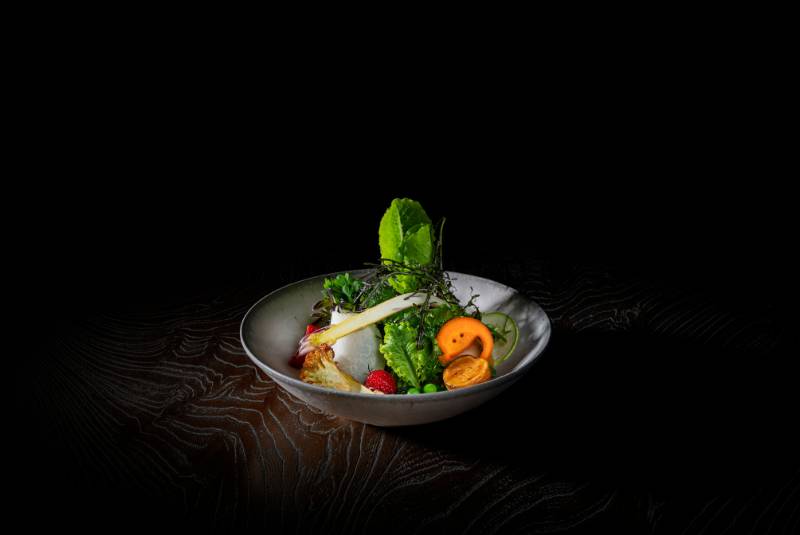 W50BR25 - Den - 51-100