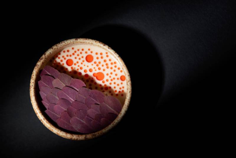 W50BR25 - Nuema - 51-100